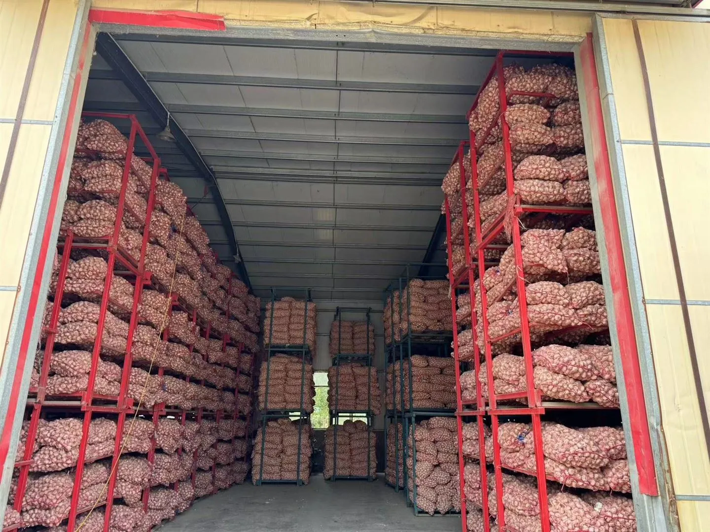 Säilytetty valkosipuli